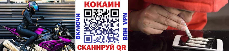 COCAIN Fish Scale  Видное 