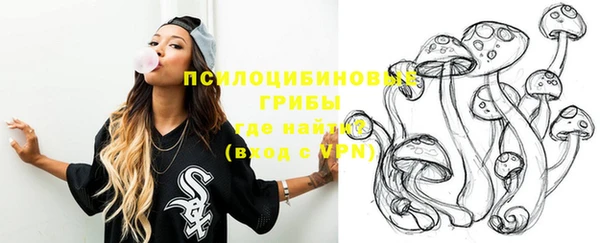 стаф Балахна