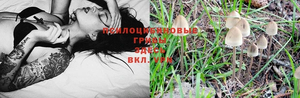 стаф Балахна