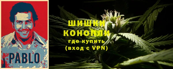 кокаин Белокуриха