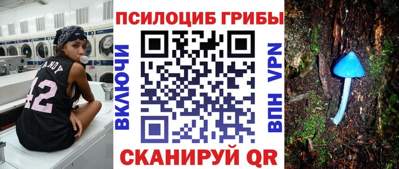 Псилоцибиновые грибы Psilocybe  Видное 